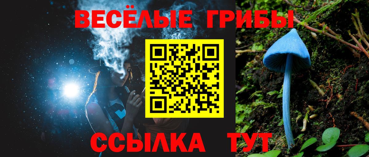 Псилоцибиновые грибы мицелий Вышний Волочёк